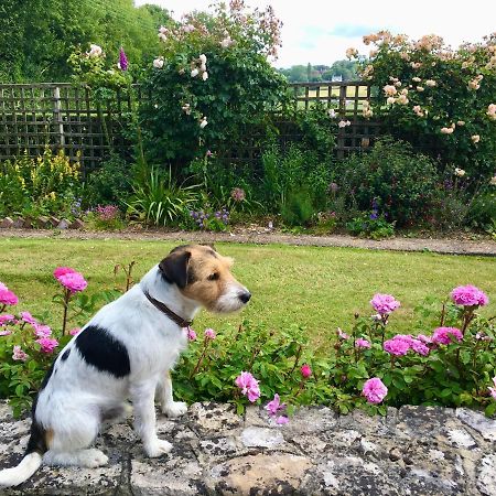 Rosemary Cottage Hooe Esterno foto