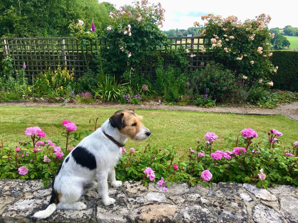 Rosemary Cottage Hooe Esterno foto